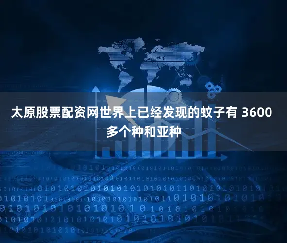 太原股票配资网世界上已经发现的蚊子有 3600 多个种和亚种